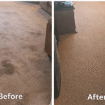 Carpet Cleaning Dubai: Expert Solutions for a Cleaner and Healthier Space