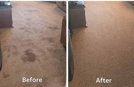 Carpet Cleaning Dubai: Expert Solutions for a Cleaner and Healthier Space